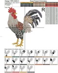 Rooster Machine Embroidery Design - 5 sizes