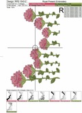 Roses border Machine Embroidery Design - 2 sizes