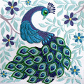 Royal Peacock
