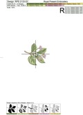 Schisandra machine embroidery designs - 3 in 1