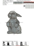 Serious Spring Bunny Machine Embroidery Designs - 5 sizes