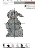 Serious Spring Bunny Machine Embroidery Designs - 5 sizes