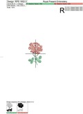 Set of Climbing Tiny Roses Embroidery Designs
