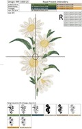 Set of Machine Embroidery Designs Daisies