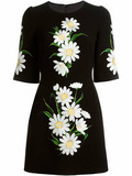 Set of Machine Embroidery Designs Daisies