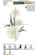Set of Machine Embroidery Designs Daisies