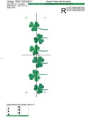 Shamrock Border Machine Embroidery Design - 3 sizes