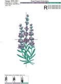 Provence Sprig of Lavender - 3 sizes
