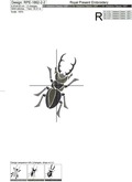 Stag Beetles machine embroidery designs - 2 sizes