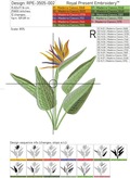 Bird of Paradise Strelitzia Flower Large - 5 sizes