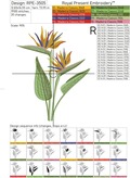 Bird of Paradise Strelitzia Flower - 4 sizes