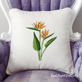 Bird of Paradise Strelitzia Large - 4 sizes