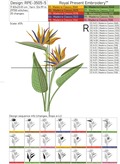 Bird of Paradise Strelitzia Large - 4 sizes