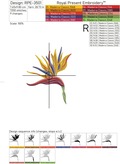 Bird of Paradise Strelitzia Set - 2 sizes