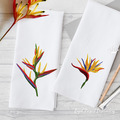 Bird of Paradise Strelitzia Set - 2 sizes