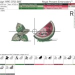 Watermelon cocktail set - 4 sizes