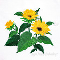 Sunflowers Machine Embroidery Design - 2 sizes