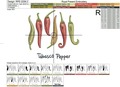 Tabasco peppers machine embroidery design - 2 sizes