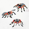 Tarantula Spiders machine embroidery designs