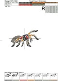 Tarantula Spiders machine embroidery designs