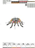 Tarantula Spiders machine embroidery designs