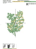 Tarragon Machine Embroidery Design - 2 sizes
