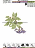 Three Elderberry Branches Machine Embroidery Designs