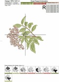 Three Elderberry Branches Machine Embroidery Designs