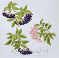 Three Elderberry Branches Machine Embroidery Designs