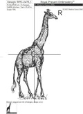 Three Giraffes Set
