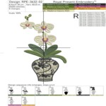 Orchids in a vase - 4 sizes