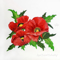 Three Poppies Machine Embroidery Design