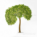 Tree Machine Embroidery Design - 5 sizes