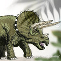 Triceratops dinosaur - 5 sizes