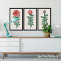 Triptych Roses Machine Embroidery Designs - 7 sizes
