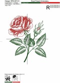 Vintage Rose engraving calligraphic Victorian style Embroidery Design