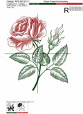 Vintage Rose engraving calligraphic Victorian style Embroidery Design