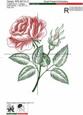 Vintage Rose engraving calligraphic Victorian style Embroidery Design