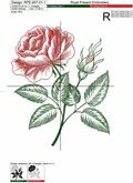 Vintage Rose engraving calligraphic Victorian style Embroidery Design