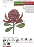 Waratah Flower Machine Embroidery Design - 5 sizes