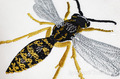 Wasp Machine Embroidery Design - 8 sizes