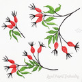 Wild Rose Berries Machine Embroidery Designs Set - 3 sizes