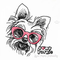 Yorkshire Terrier - 5 sizes