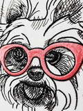 Yorkshire Terrier - 5 sizes