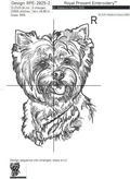 Yorkshire Terrier sketch - 6 Sizes
