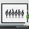 Six Zebras Designs - 6 in 1