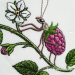 Stag Beetle on Raspberry Branch Machine Embroidery Design - 4 sizes