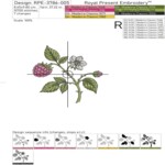 Raspberry Branches with Flowers Machine Embroidery Designs Set - 4 Sizes