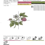Raspberry Branches with Flowers Machine Embroidery Designs Set - 4 Sizes
