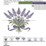 Bouquet Lavender with bow - 4 sizes